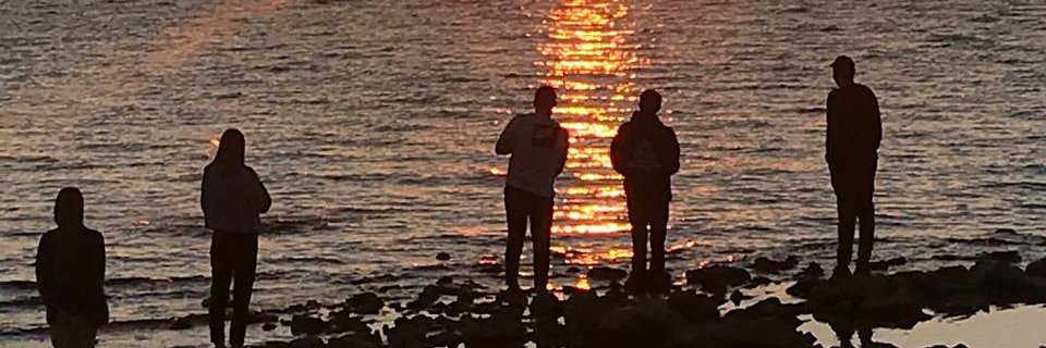 alfonsesetti's profile banner image