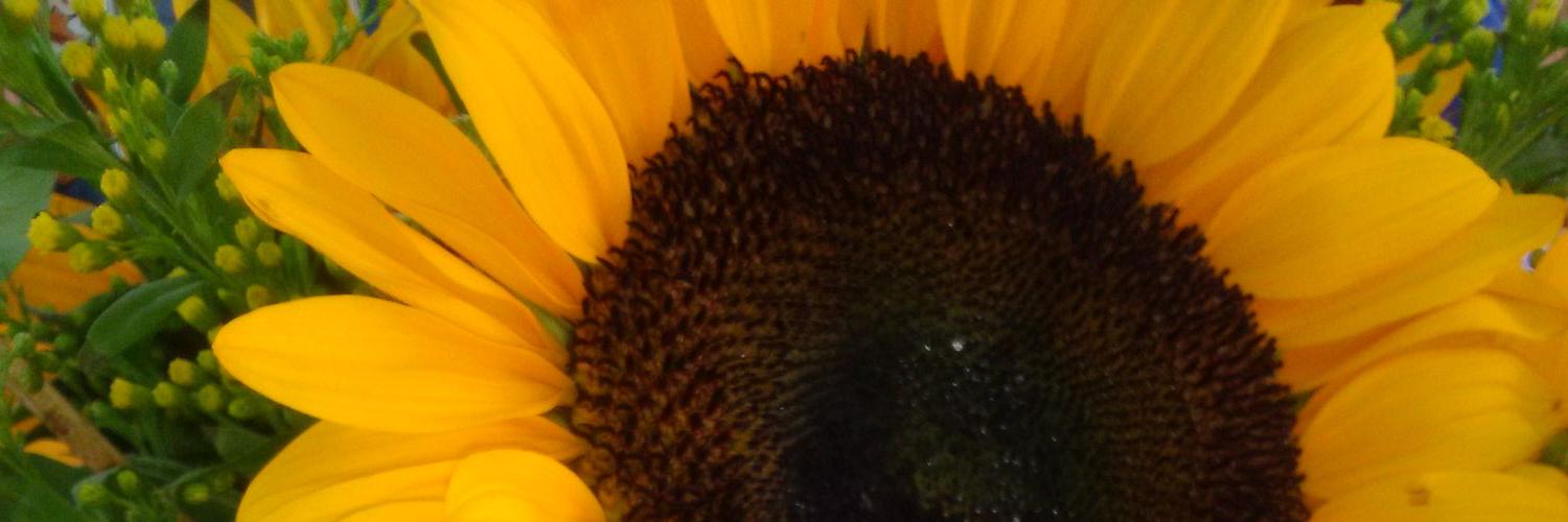 Marinelli65's profile banner image