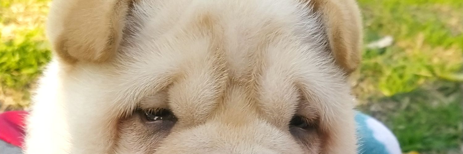 DannyGonzalezR's profile banner image