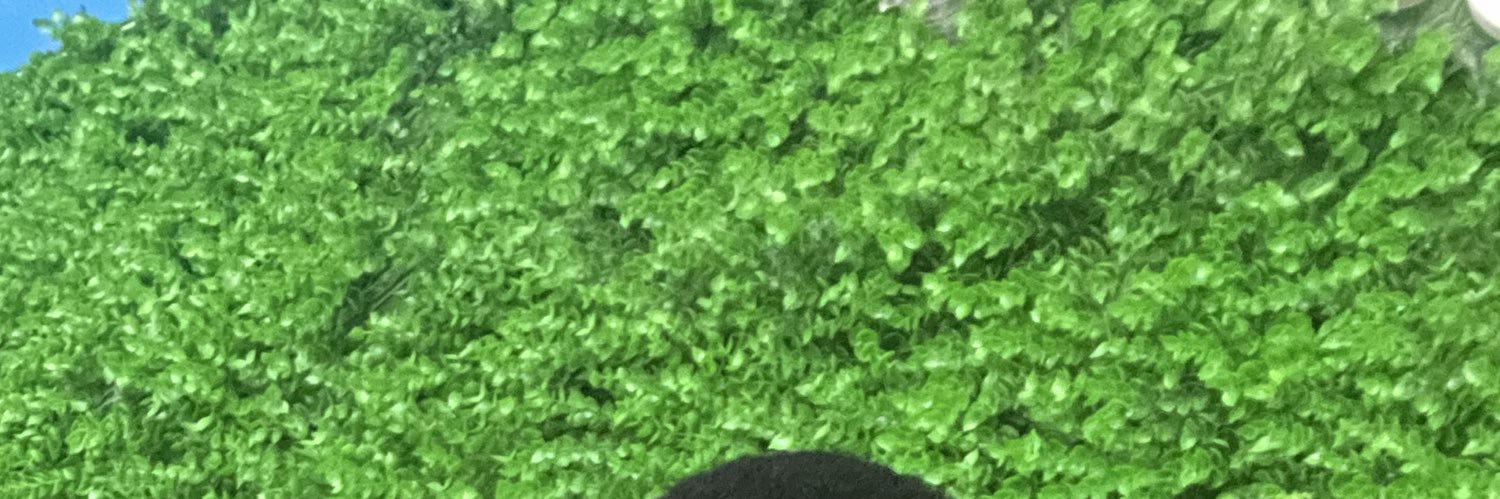 Tèmítáyò Òjó 🪙 banner