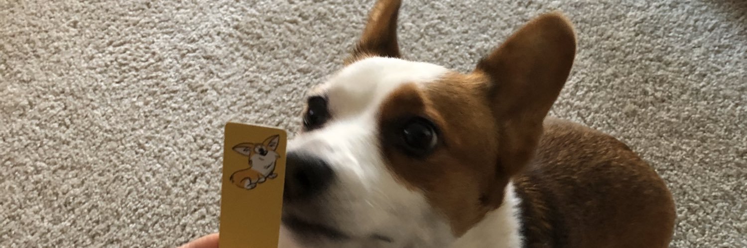 Katie Shaw banner