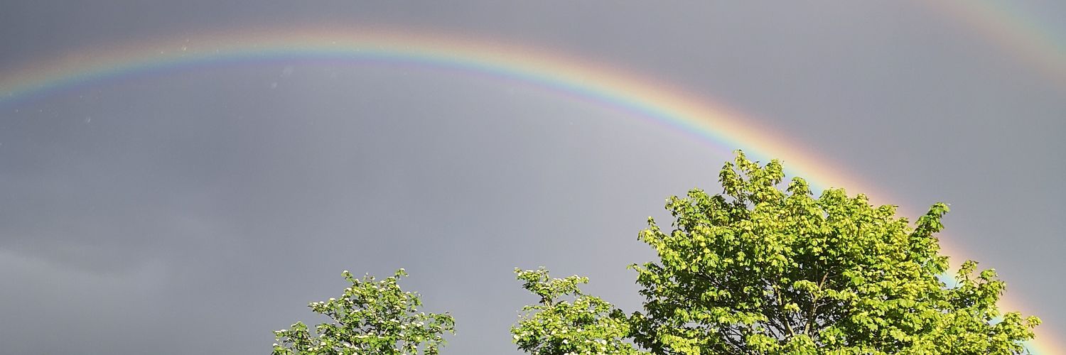 Sharon Johnston banner