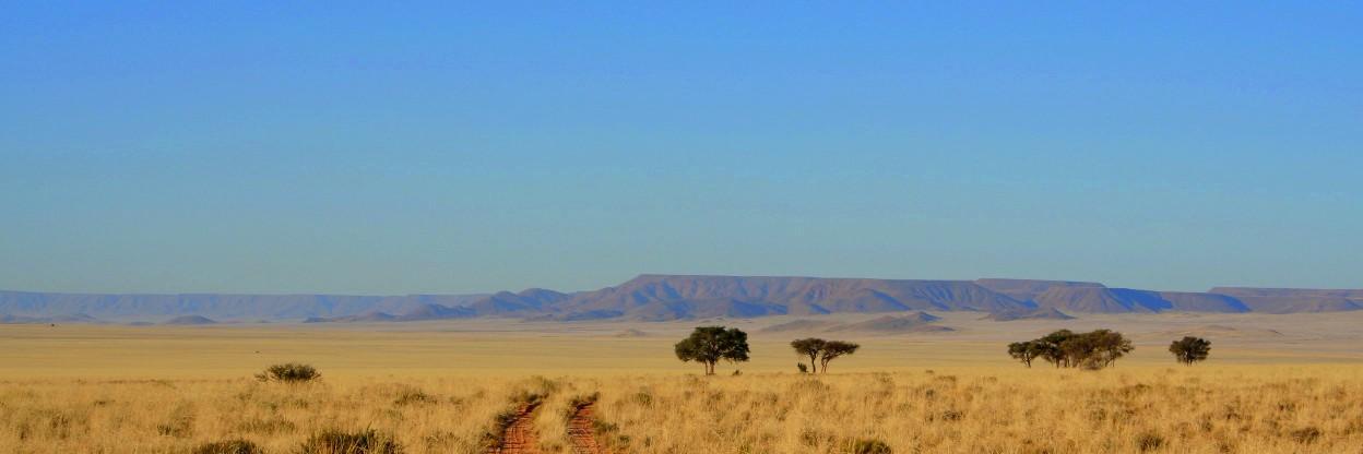 RunDesert's profile banner image