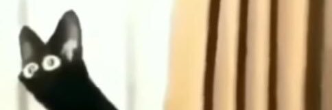 TallTaleTattler's profile banner image