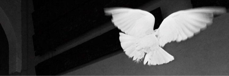 mm6000542's profile banner image