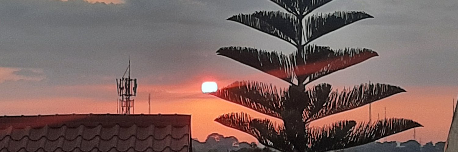 zerochillcat's profile banner image