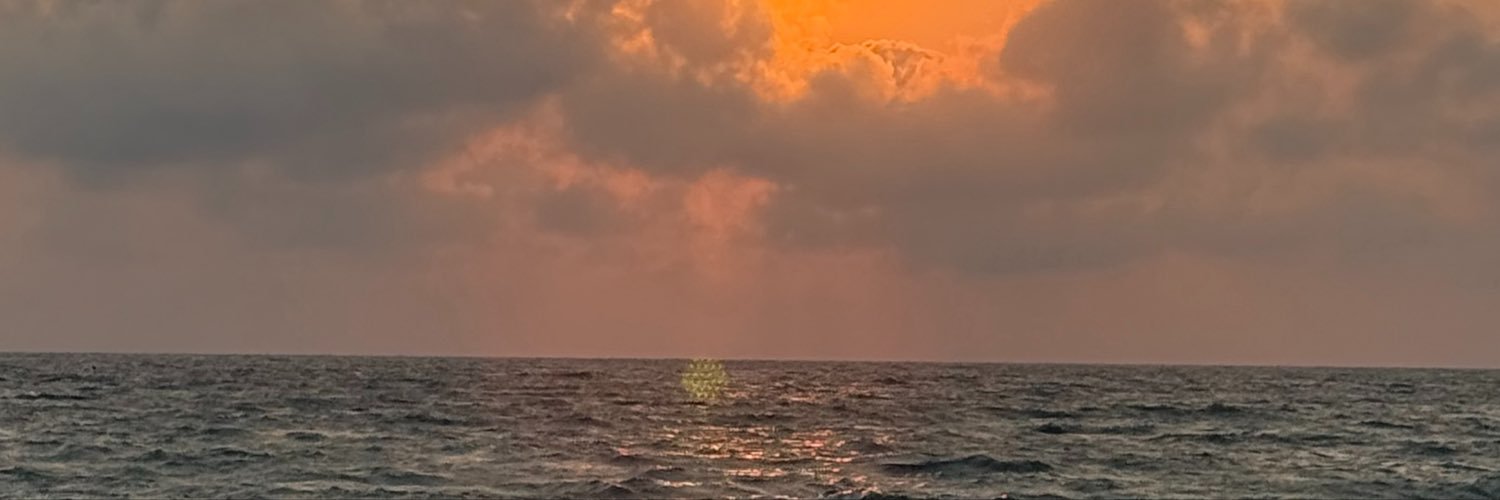 clemence_ddn's profile banner image