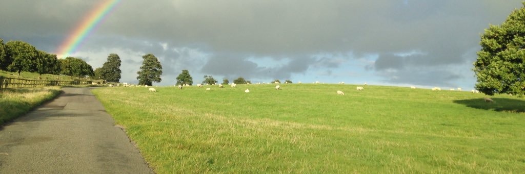 SteveLoddington's profile banner image