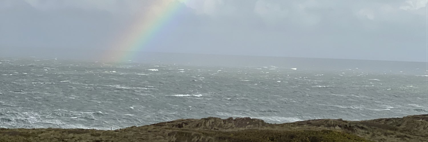 d3_n3r0's profile banner image