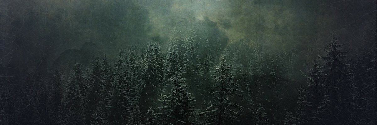 angelafanton's profile banner image
