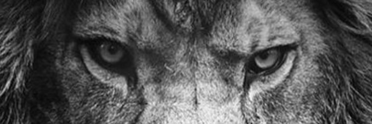 Rogerwhoelse's profile banner image
