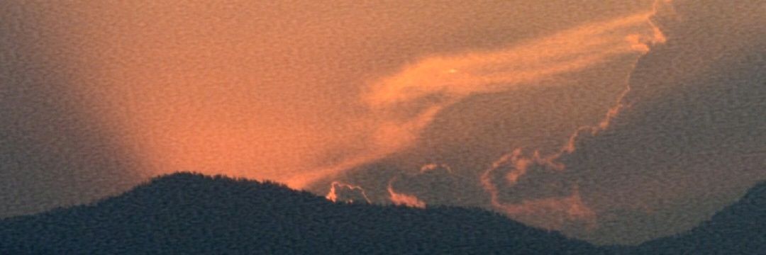 ElsaPatinsky's profile banner image