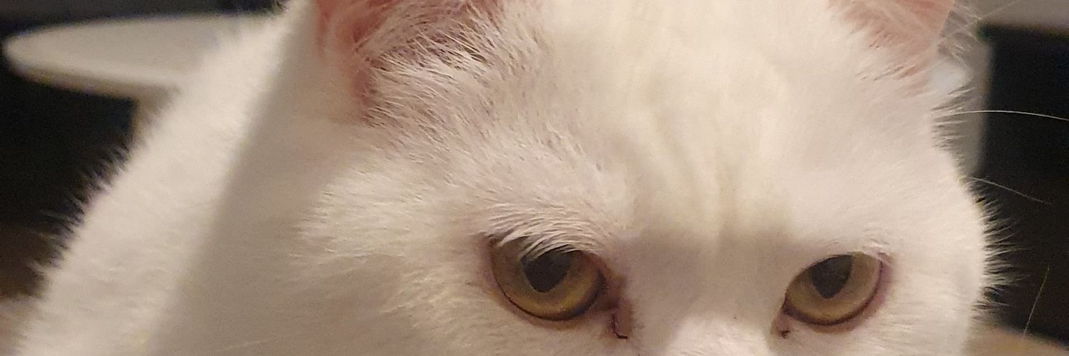 aslickrg's profile banner image