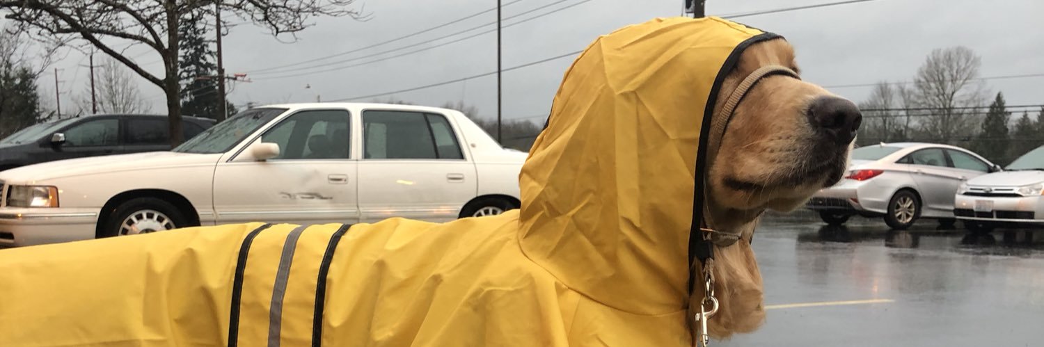 tedricklamar's profile banner image