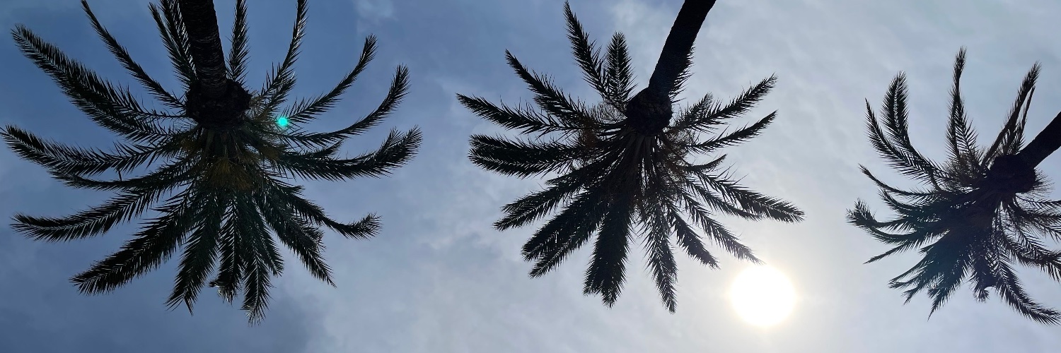 John Sullivan banner