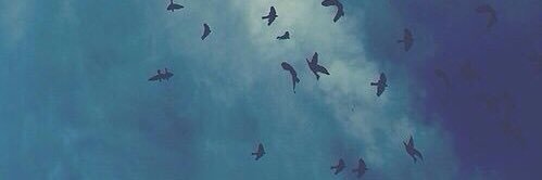 valeskasyf's profile banner image
