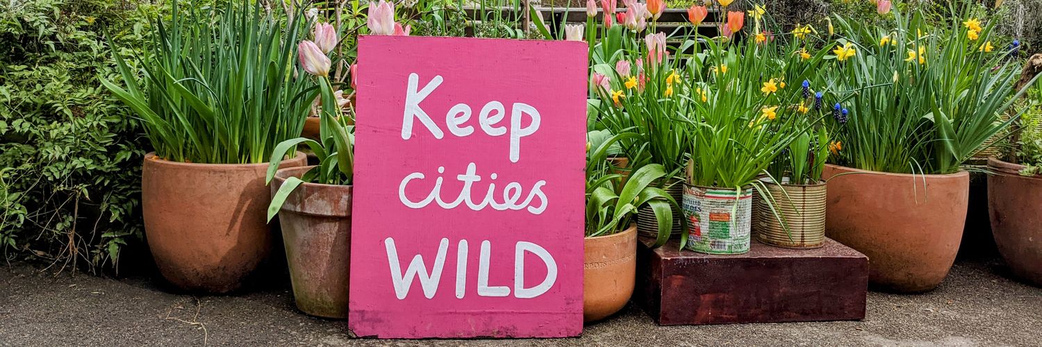 Vikki Houlden banner