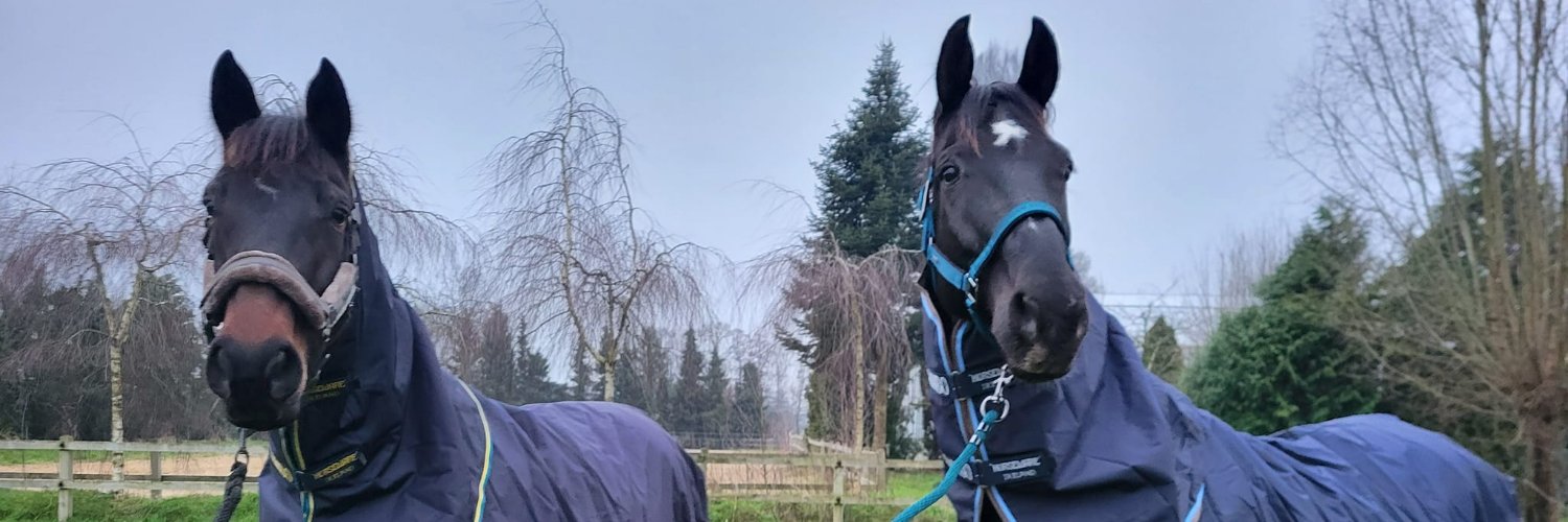 Pascal de Ruiter banner