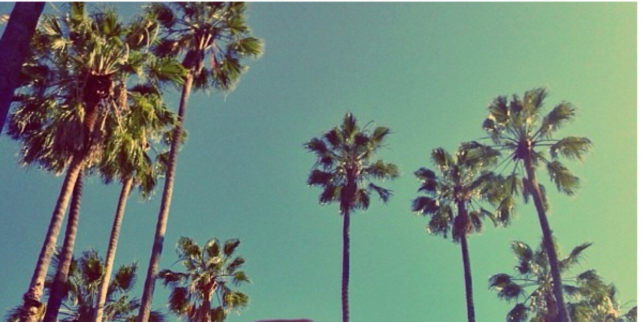 Steph_Conlan's profile banner image