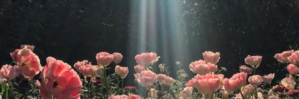 erikadevillaa's profile banner image