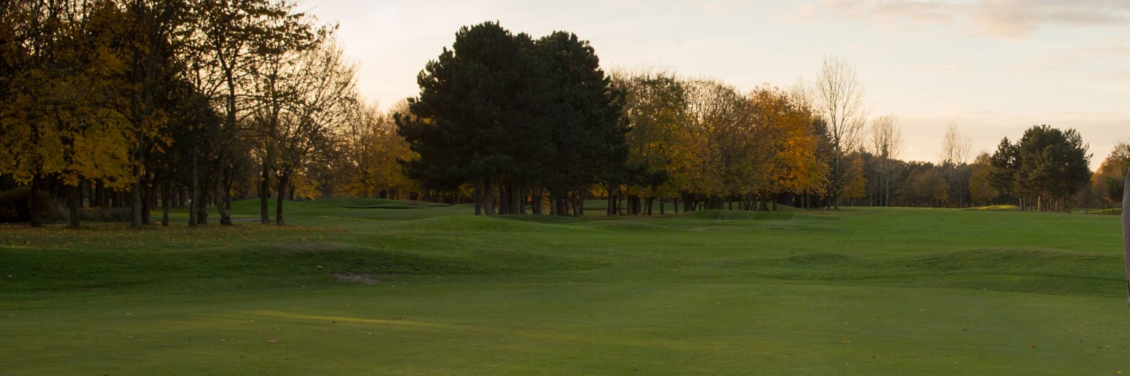 viewwelwyn's profile banner image