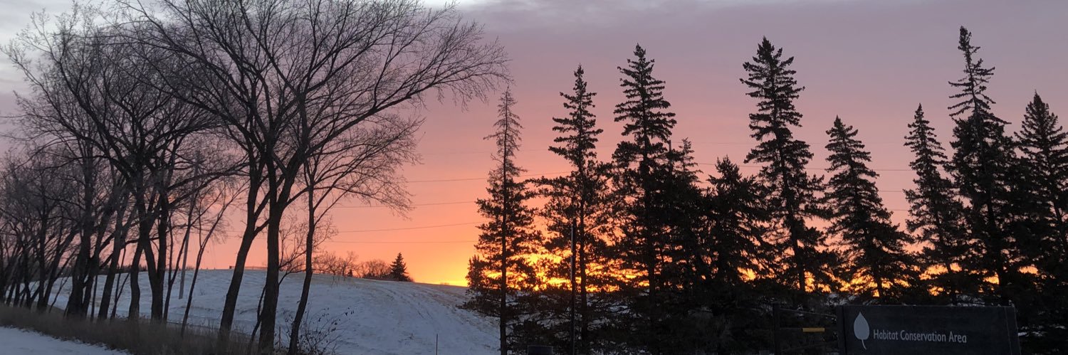 bowesm_7's profile banner image