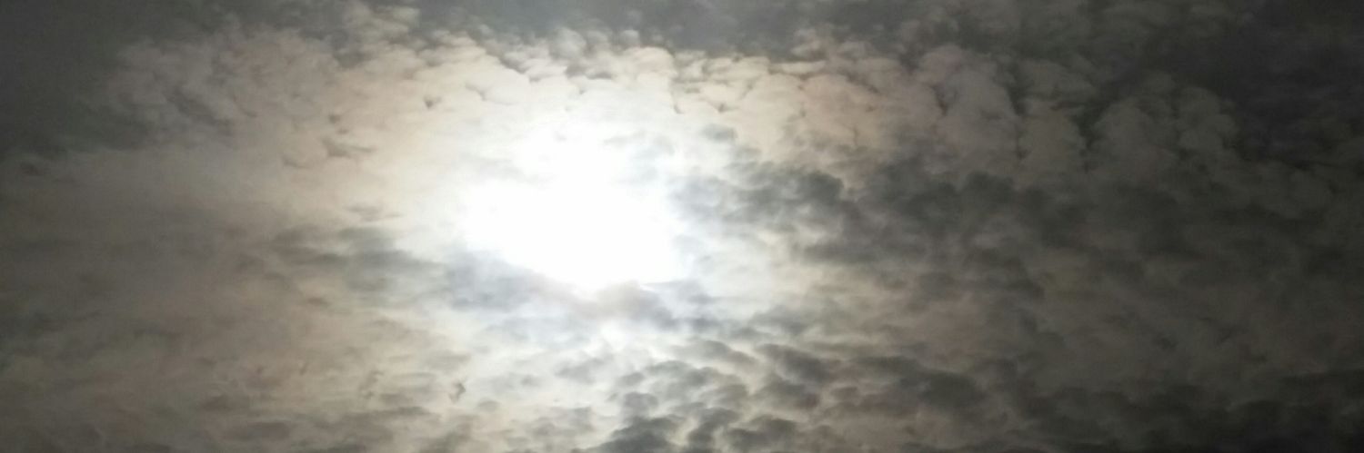 kobakumal banner