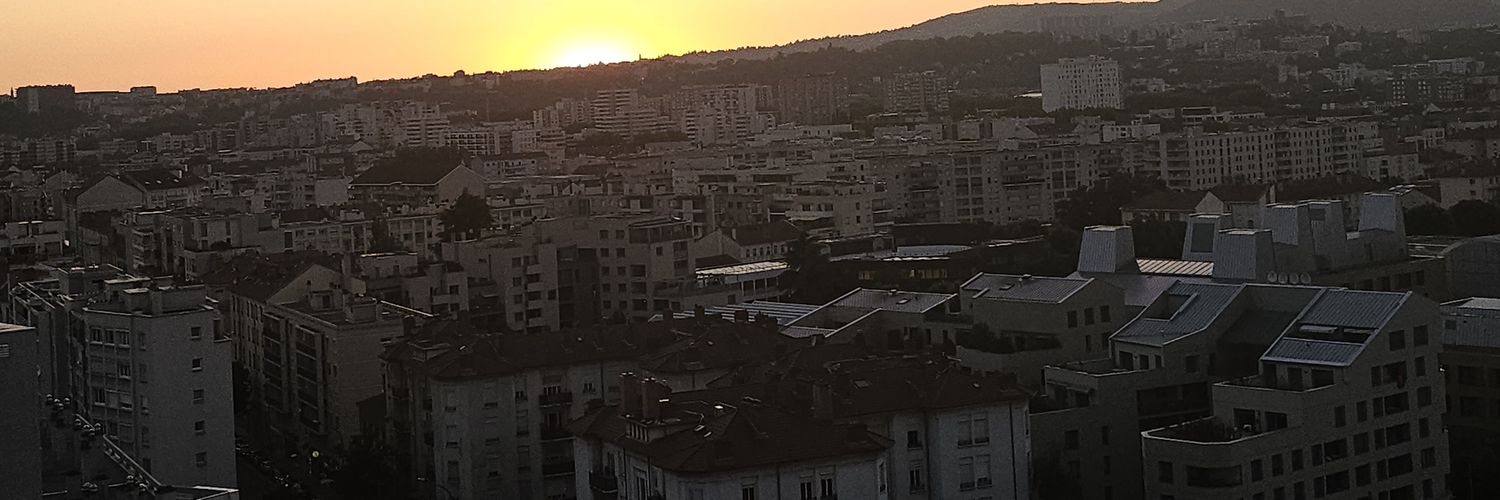 Virginie Demars banner