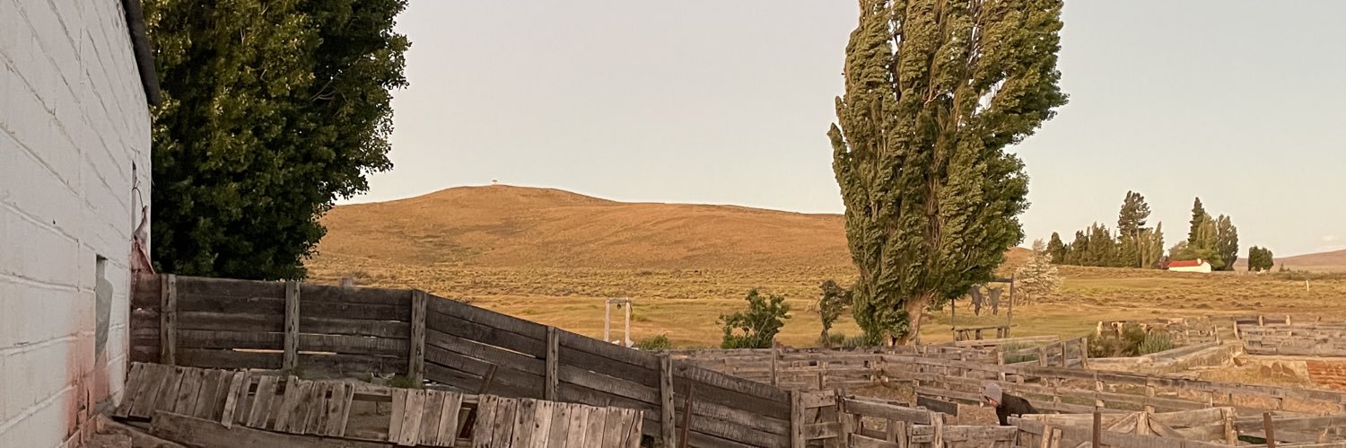 Nicolas_Dapero's profile banner image