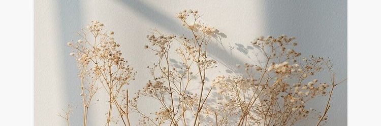 hai banner