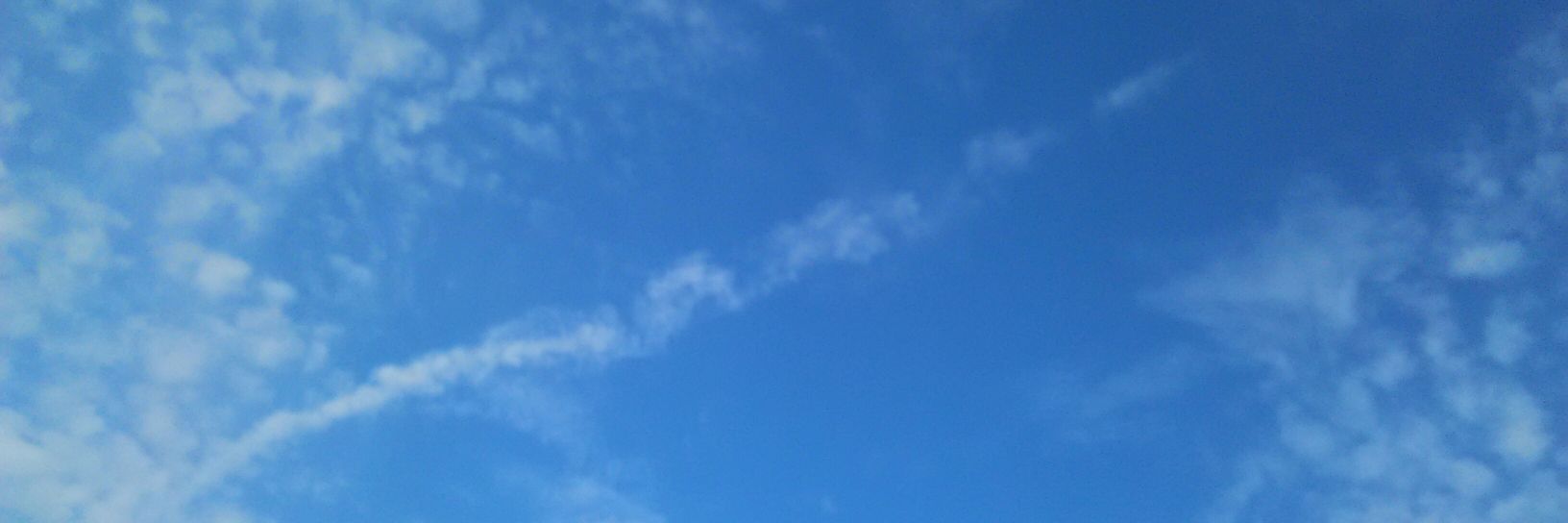 willbestation banner