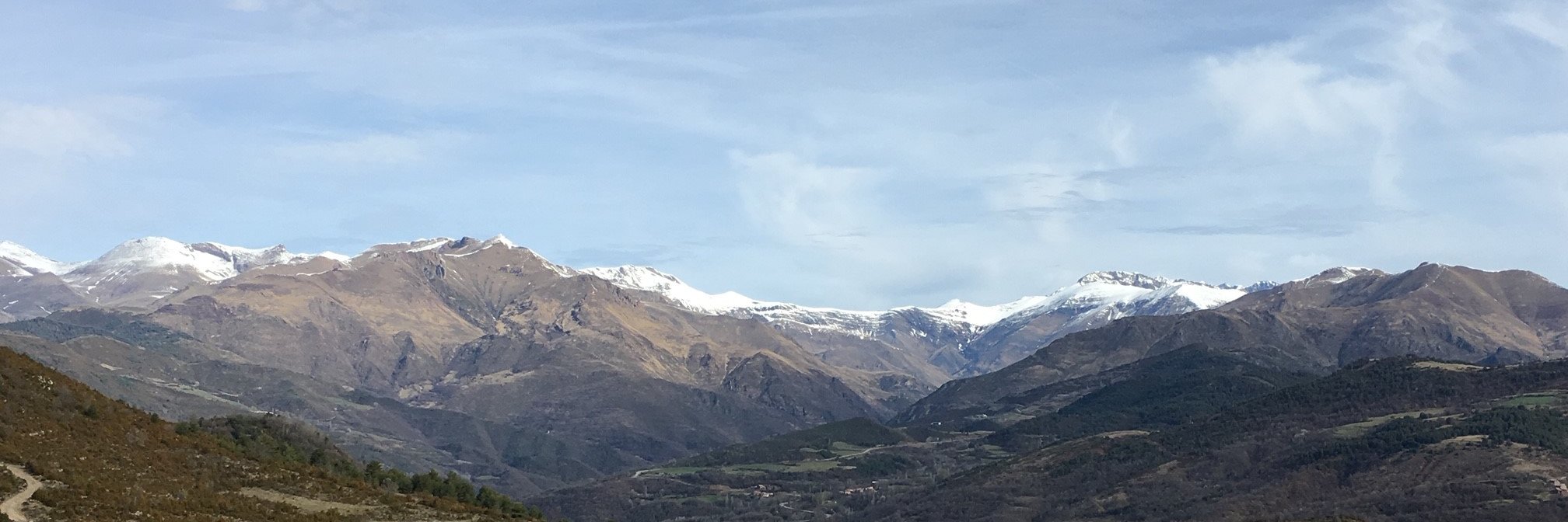 monmast's profile banner image
