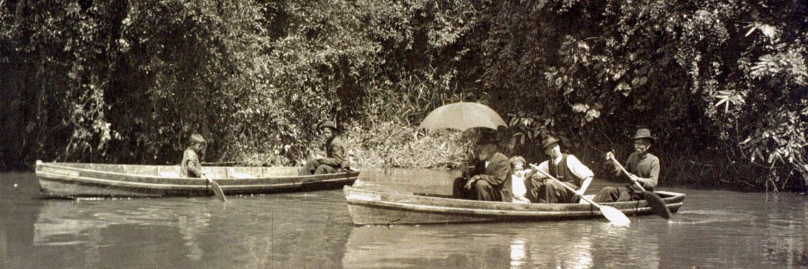 Vanessa Ribeiro banner