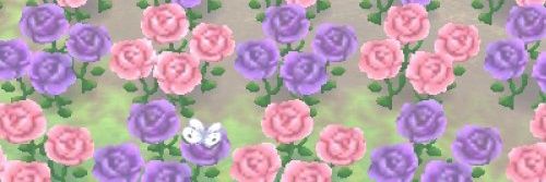 jemst0nes's profile banner image