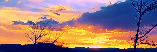 tharkey Profile Banner