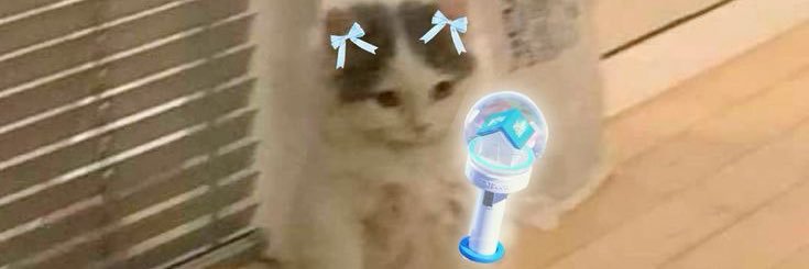 nfrlvx's profile banner image