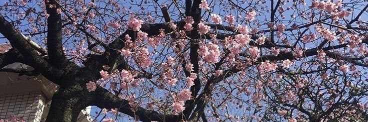 Jouruba28's profile banner image