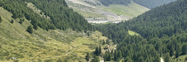 jantberge Profile Banner