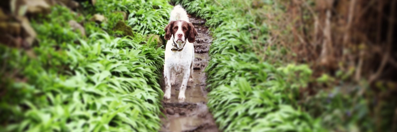 The Greenbelt Guard banner