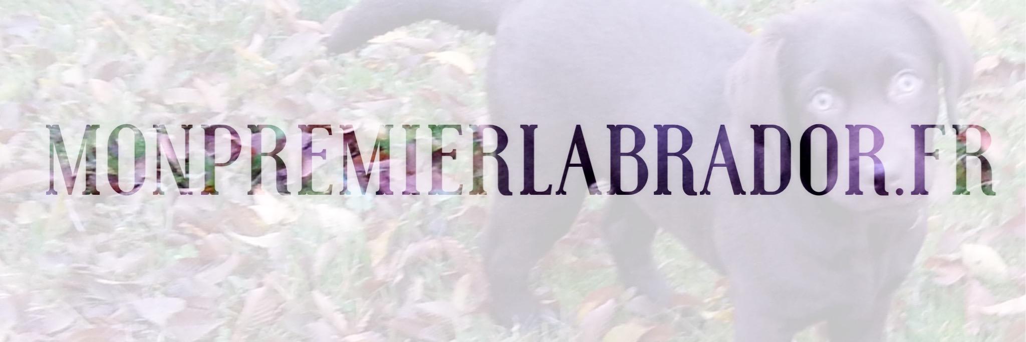 monpremierlab's profile banner image