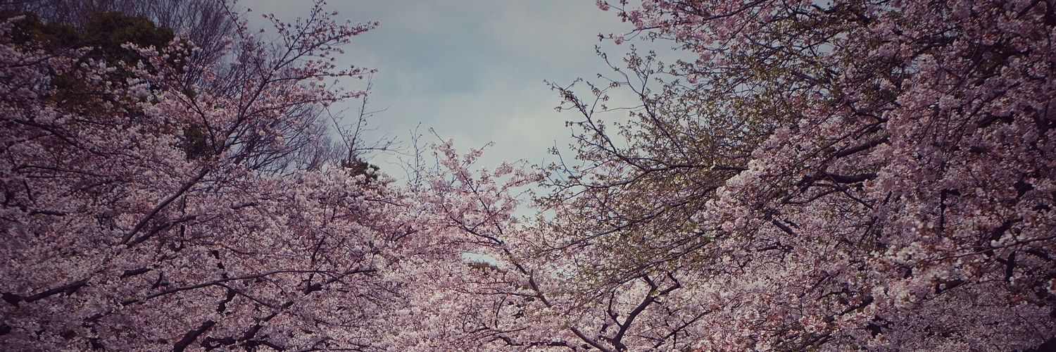 andwhenidream's profile banner image