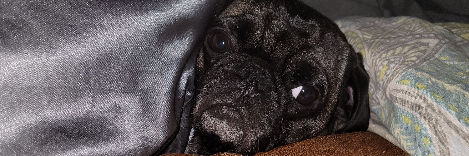 rawdootie's profile banner image
