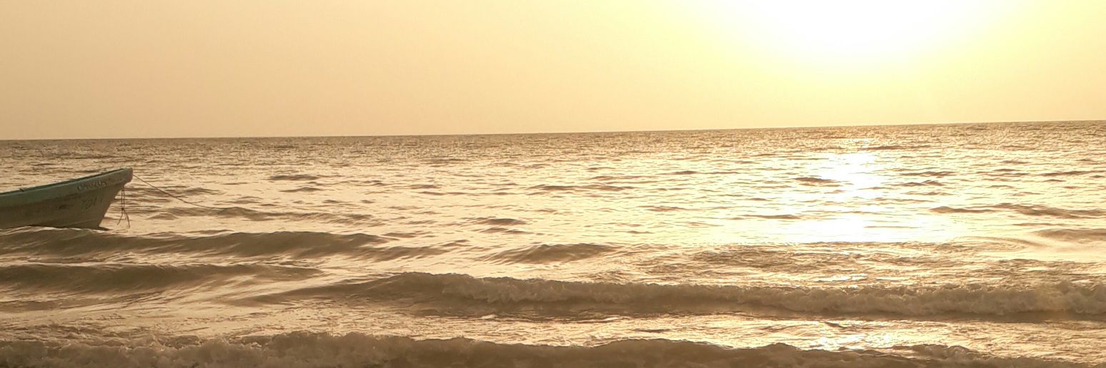 Scervera80's profile banner image