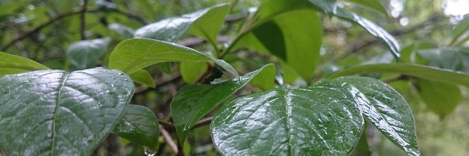natashtyan's profile banner image