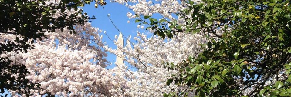 lasse_eilenberg's profile banner image