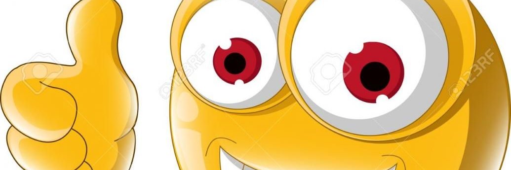 msq_thali's profile banner image