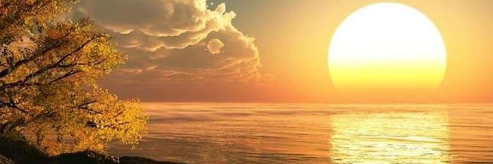 imsookproducts's profile banner image
