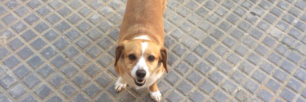 __Odilas Profile Banner