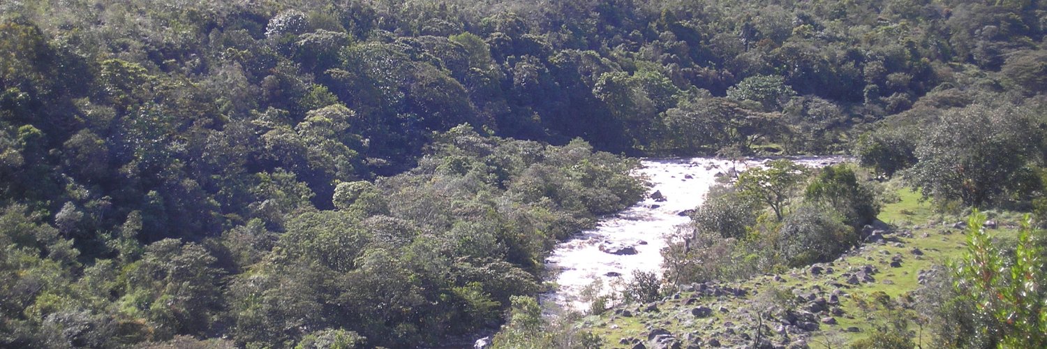 MScBosques's profile banner image