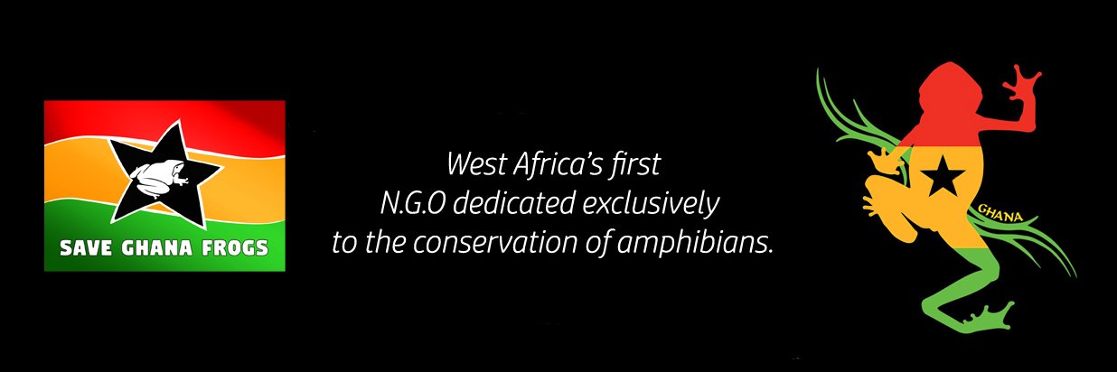 Save Ghana Frogs banner